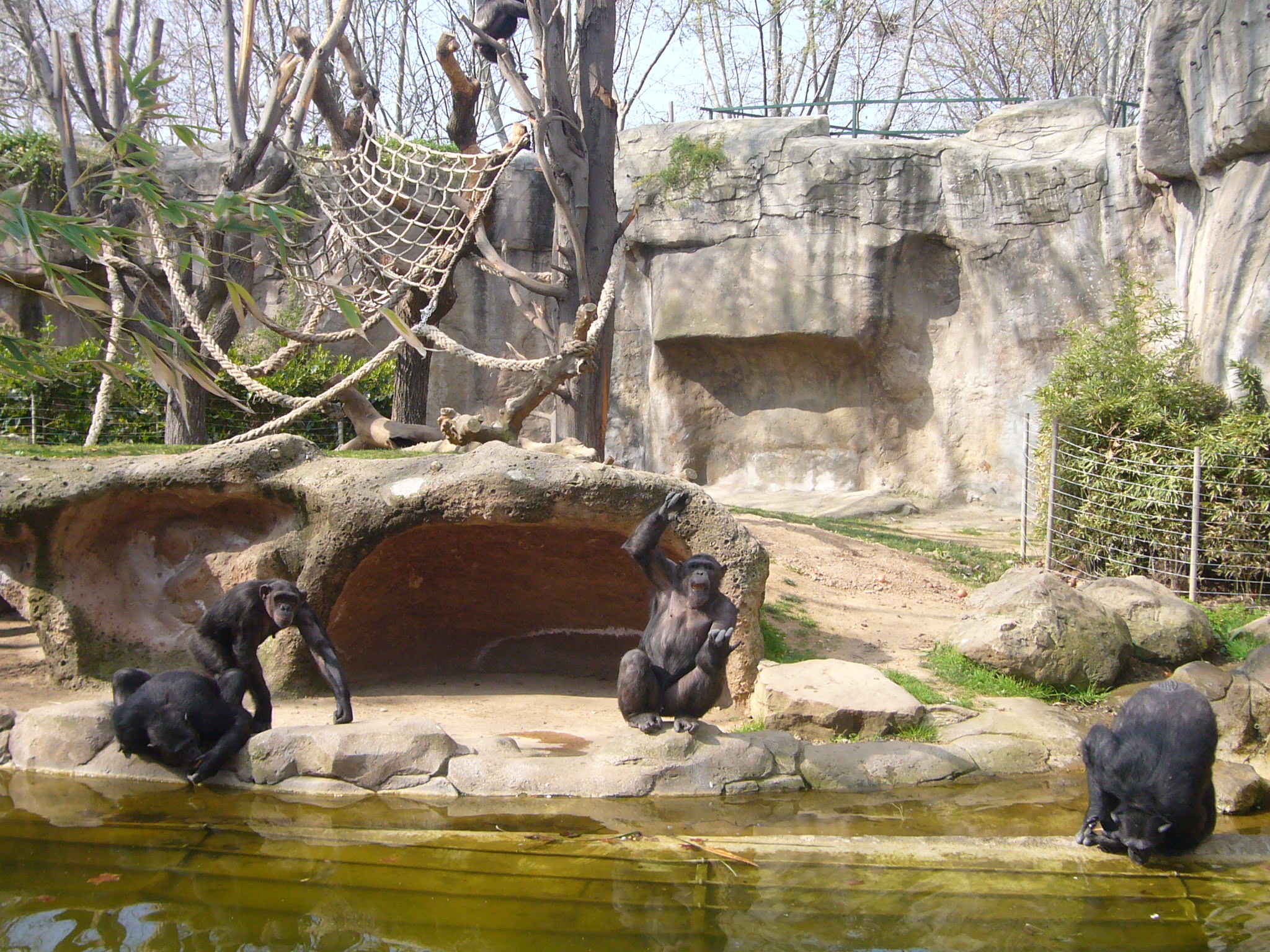 Зоопарк 1 видео. Зоопарк в Испании в Малаге. Парк Цитадели в Барселоне. Барселона Zoo. Зоопарк Сан-Диего.